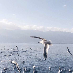 色欲AV亚洲永久无码精品
